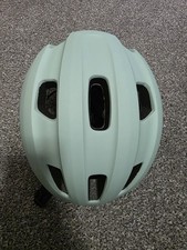 Fiido Turquoise Adult Electric